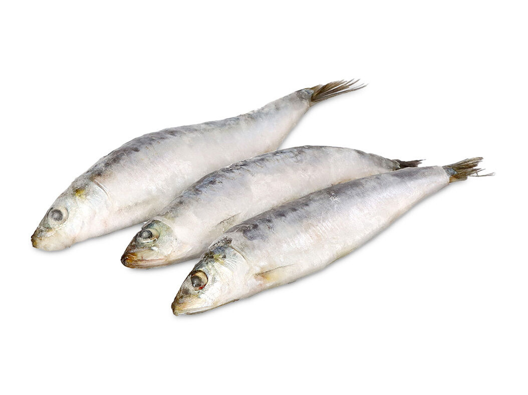 SARDINHA NACIONAL AUCHAN CONGELADA KG