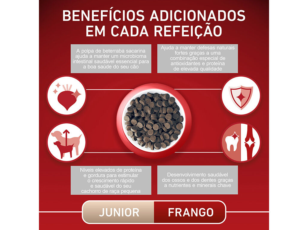 RA&Ccedil;&Atilde;O PARA C&Atilde;O PURINA ONE MINI J&Uacute;NIOR COM FRANGO 800G image number 5