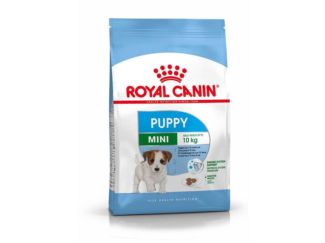 RA&Ccedil;&Atilde;O C&Atilde;O ROYAL CANIN MINI JUNIOR 800G* image number 0