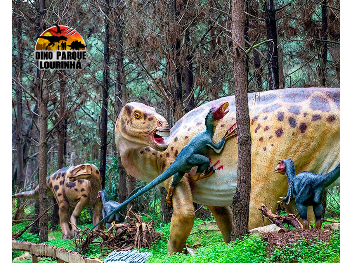 PACK ODISSEIAS DIVERS&Atilde;O EM FAM&Iacute;LIA image number 3