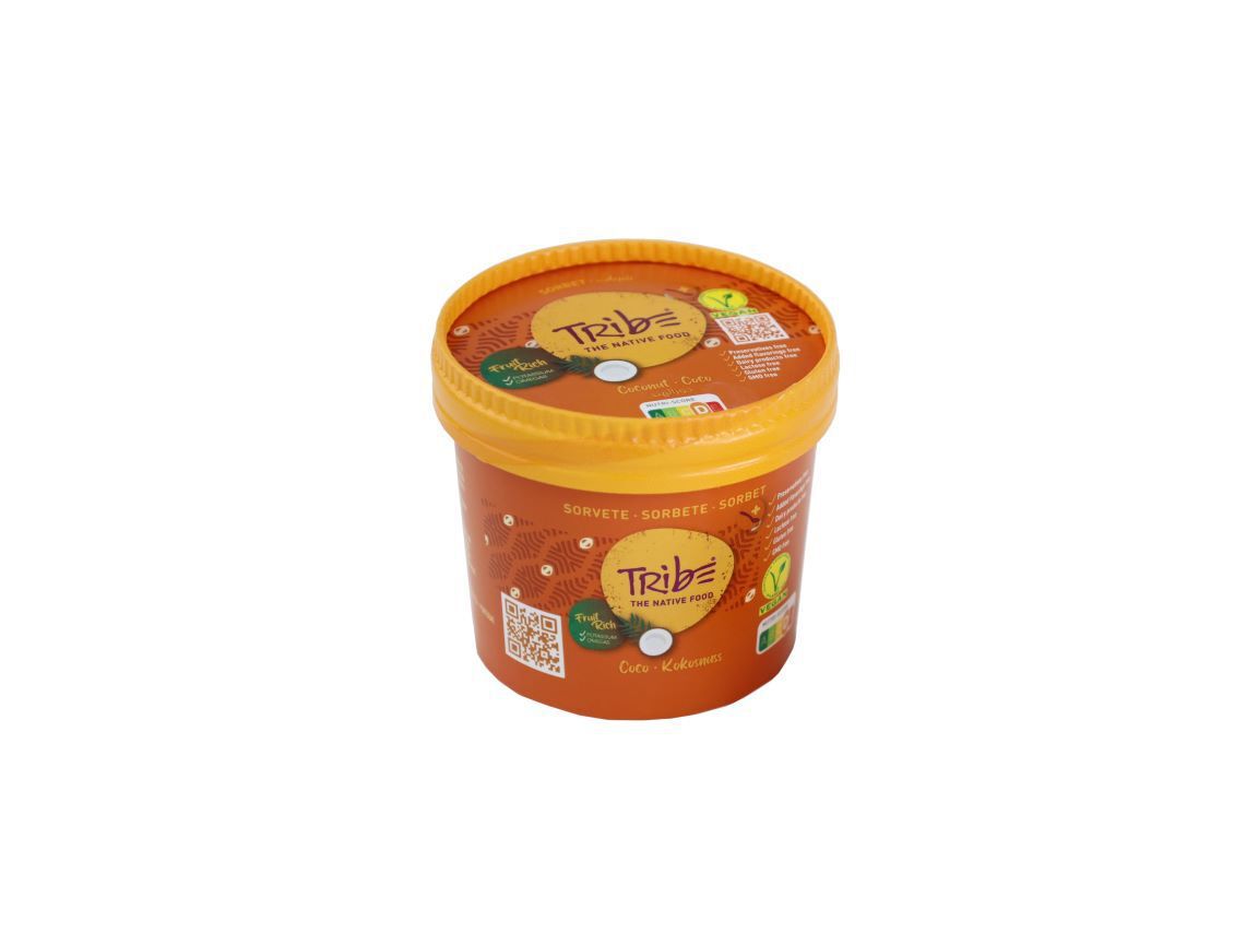SORVETE TRIBE COCO 160 ML