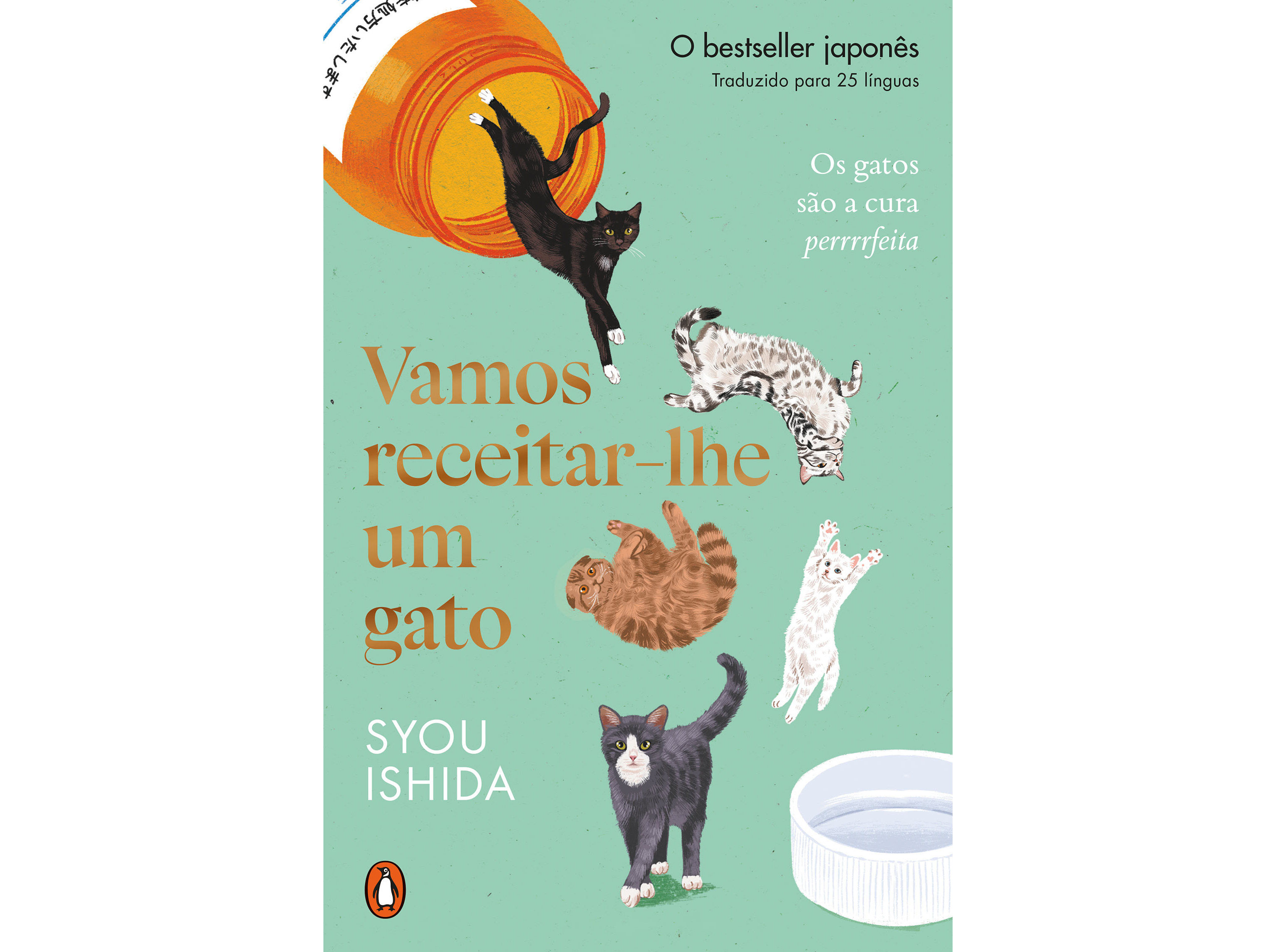 LIVRO VAMOS RECEITAR-LHE UM GATO DE SYOU ISHIDA image number 0