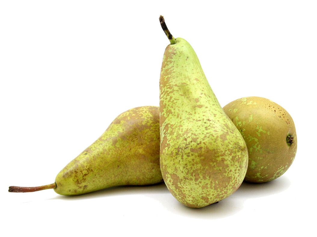 P&Ecirc;RA CONFERENCIA AUCHAN KG