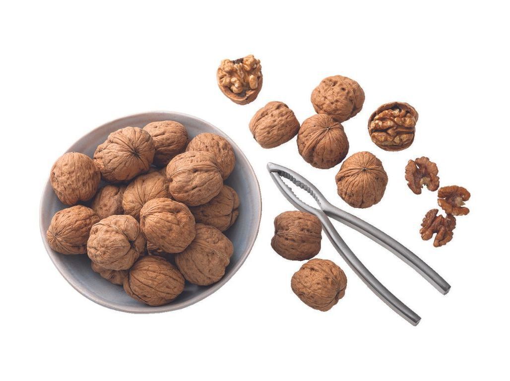 NOZ DO ALENTEJO AUCHAN COLLECTION CULTIVAMOS O BOM 500 G image number 1