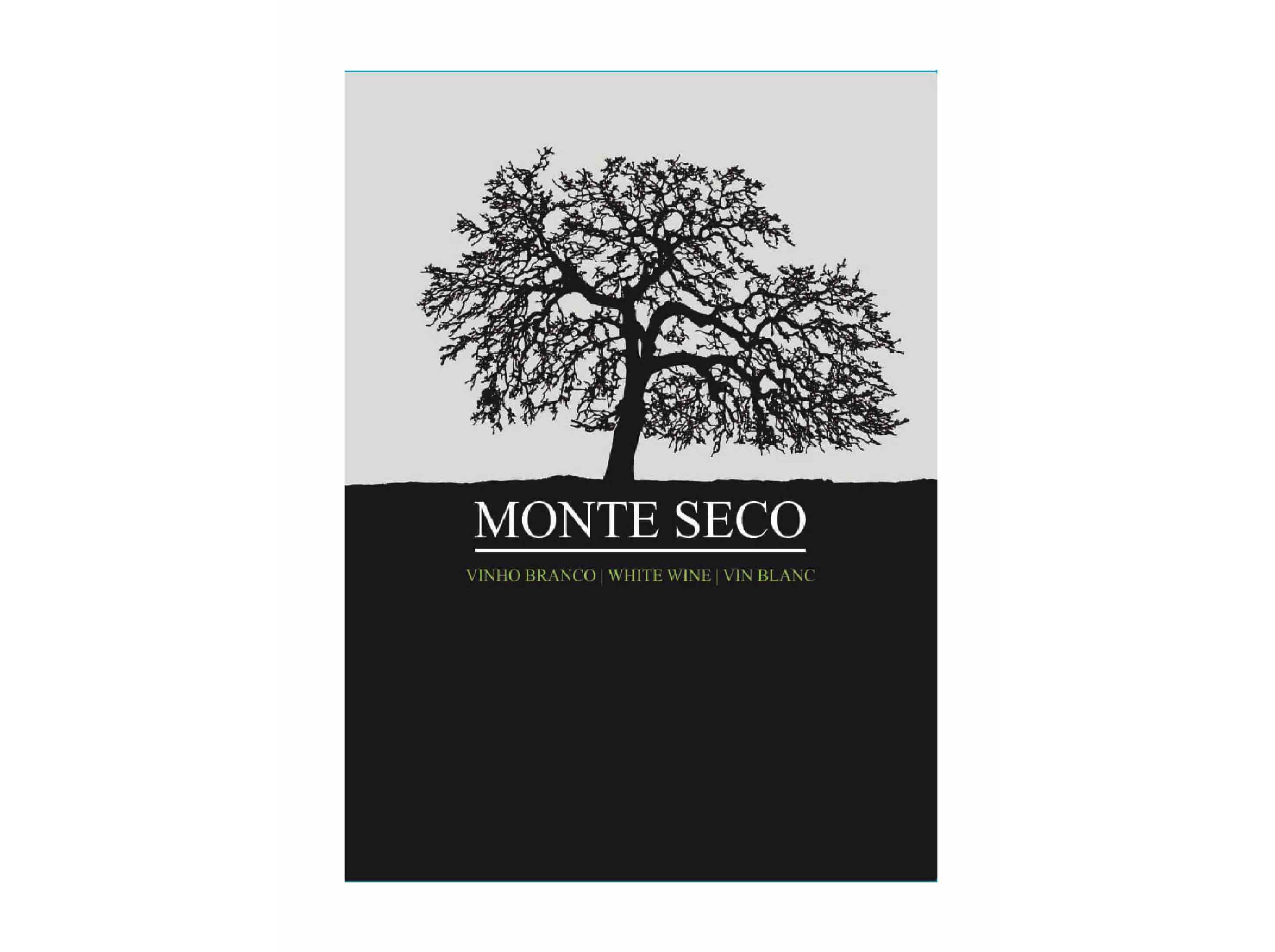 VINHO BRANCO MONTE SECO BAG IN BOX 5L image number 1