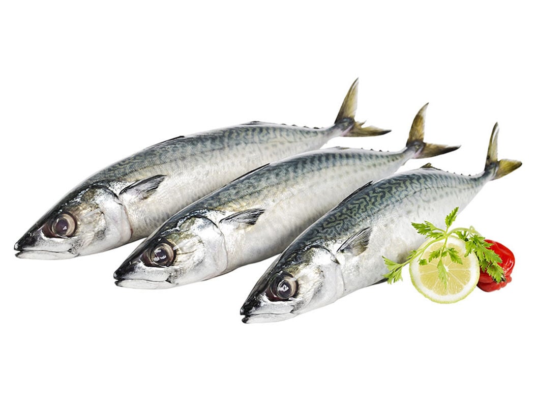 CAVALA KG image number 0