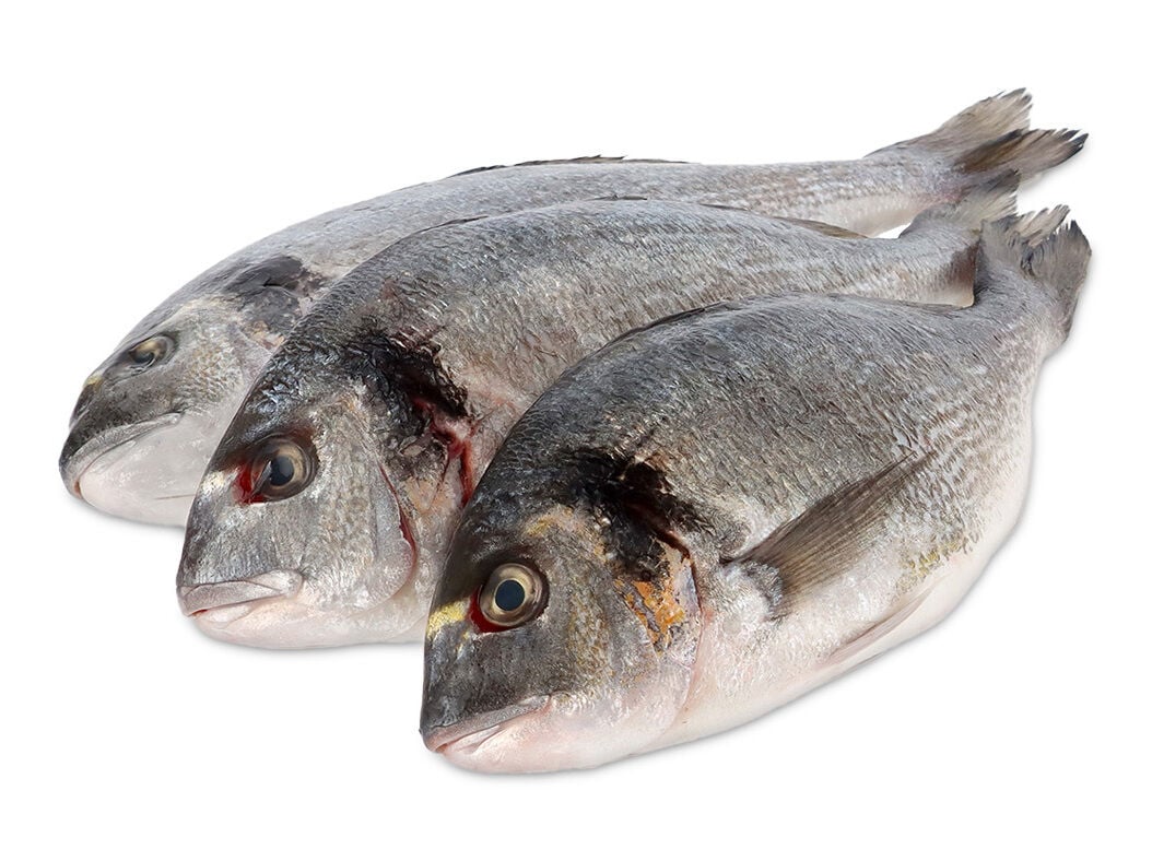 DOURADA FRESCA INTEIRA 400/600 KG