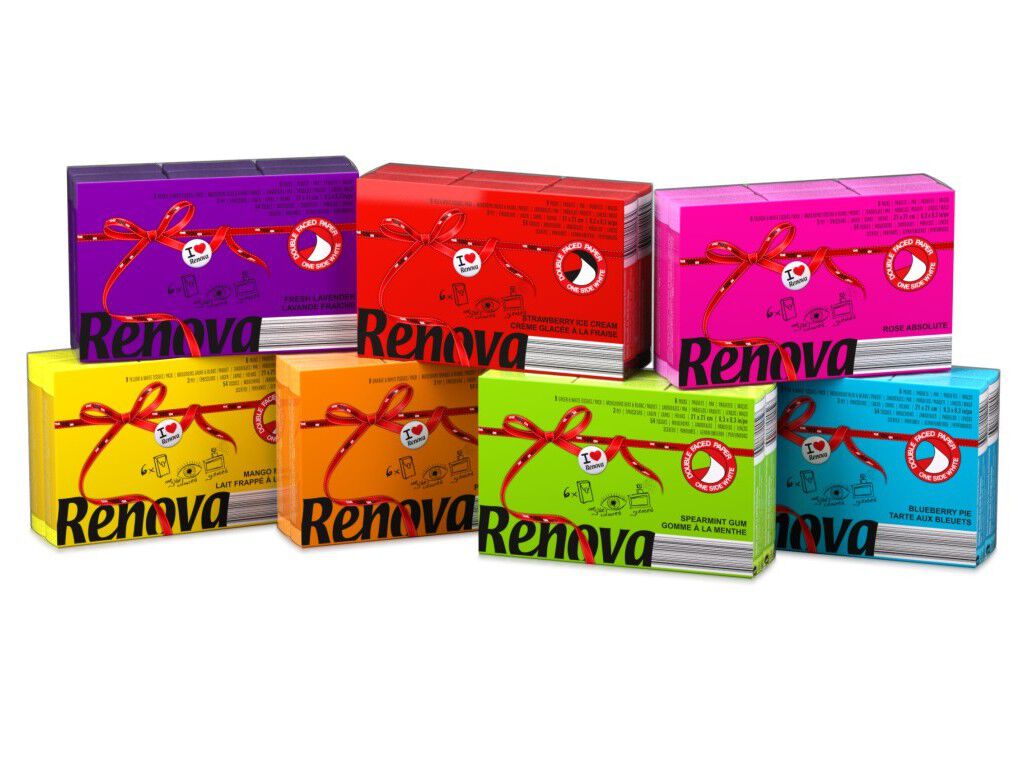 LEN&Ccedil;OS FACIAIS RENOVA V&Aacute;RIAS CORES 6UN image number 6