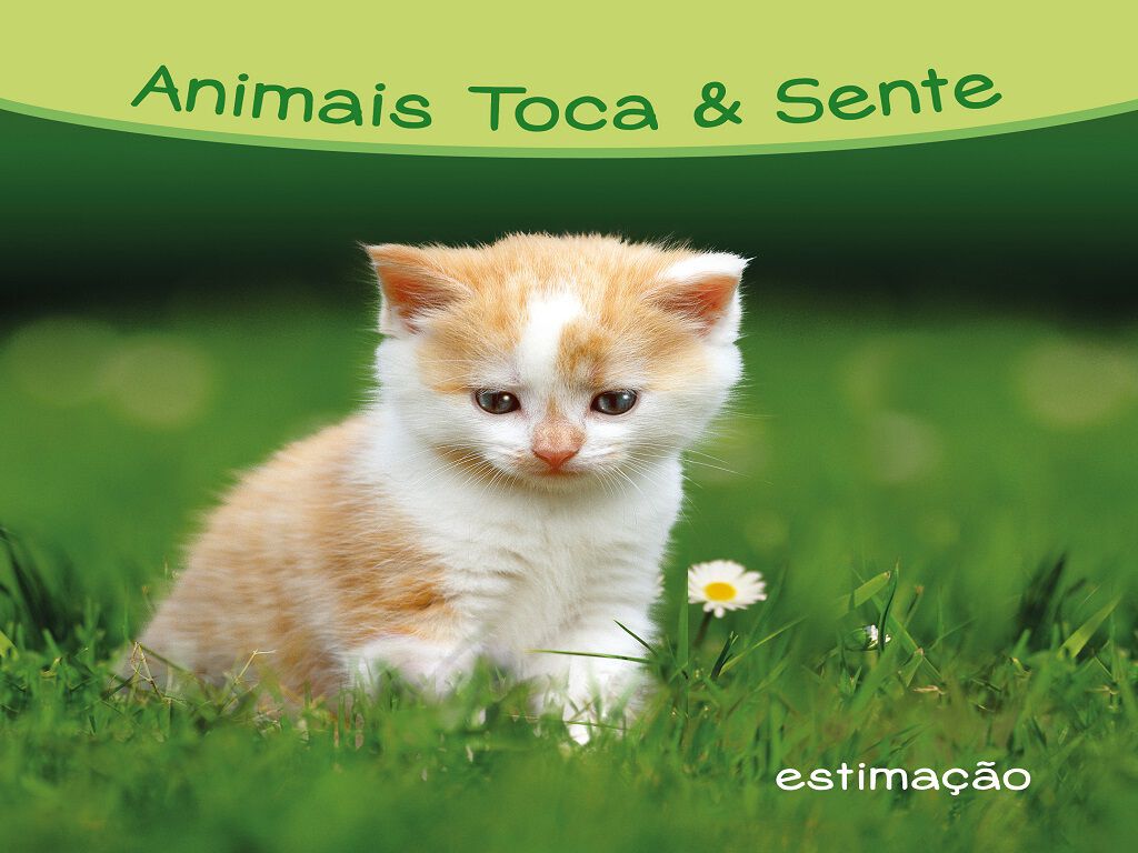 LIVRO ANIMAIS TOCA & SENTE - ANIMAIS DE ESTIMA&Ccedil;&Atilde;O image number 1