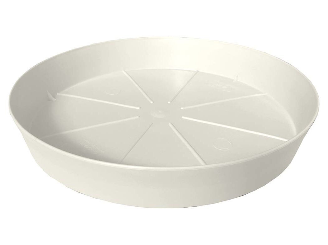 PRATO DE PL&Aacute;STICO GARDENSTAR BRANCO &Oslash;25CM