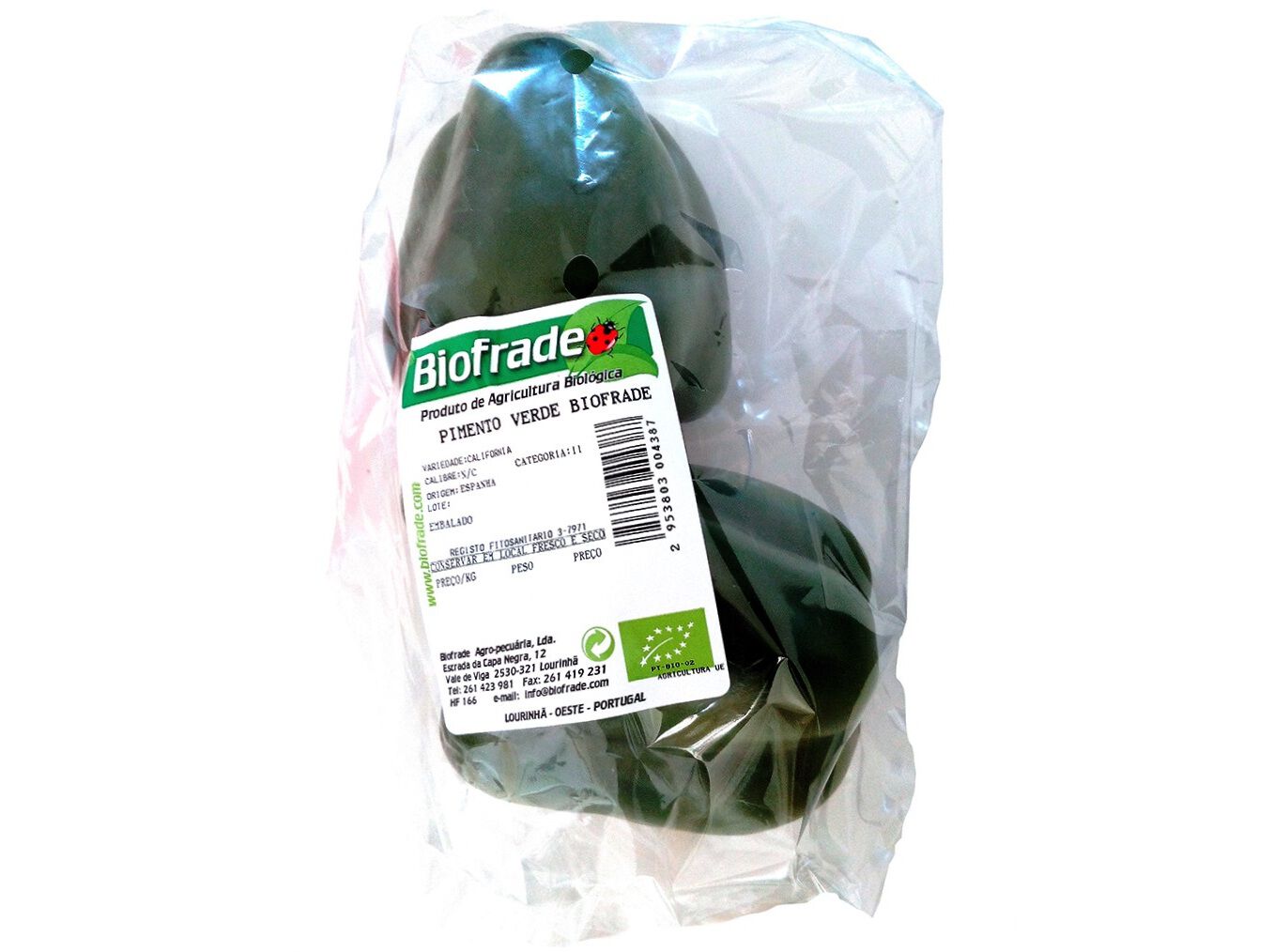 PIMENTO VERDE BIO EMBALADO KG