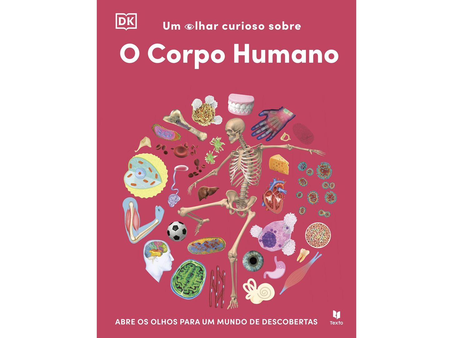 LIVRO UM OLHAR CURIOSO SOBRE - O CORPO HUMANO image number 0