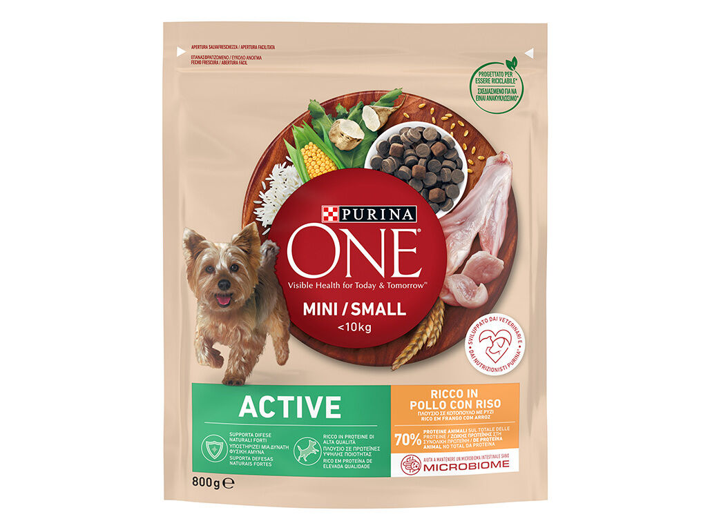 RA&Ccedil;&Atilde;O PARA C&Atilde;O PURINA ONE MINI ACTIVE COM FRANGO 800G image number 1