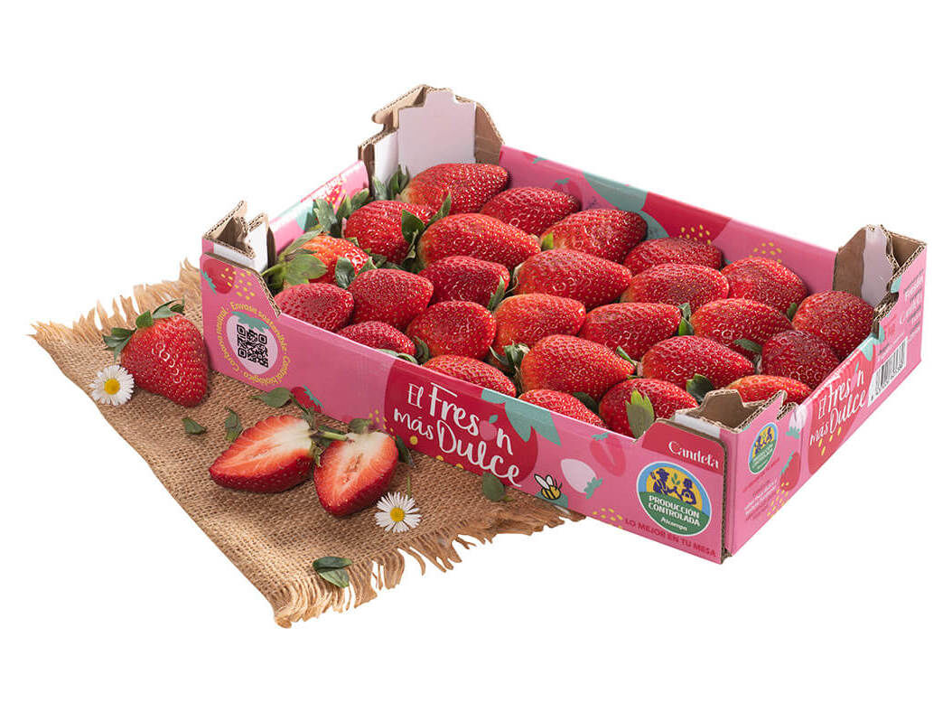 MORANGO AUCHAN COLLECTION CULTIVAMOS O BOM 1 KG