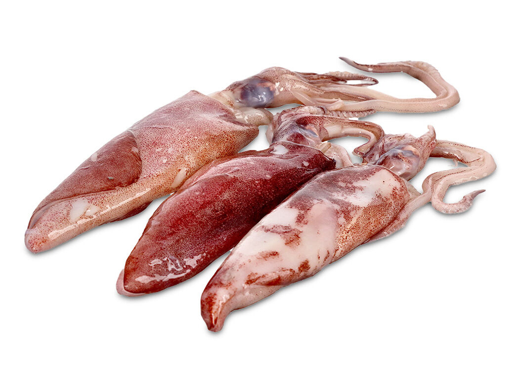 LULA DESCONGELADA KG