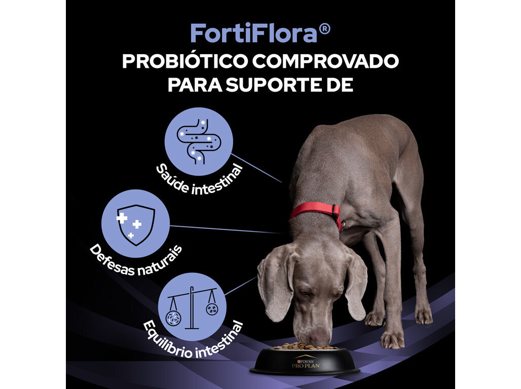 SUPLEMENTO PROBI&Oacute;TICO PRO PLAN C&Atilde;O FORTIFLORA 7X1G image number 2