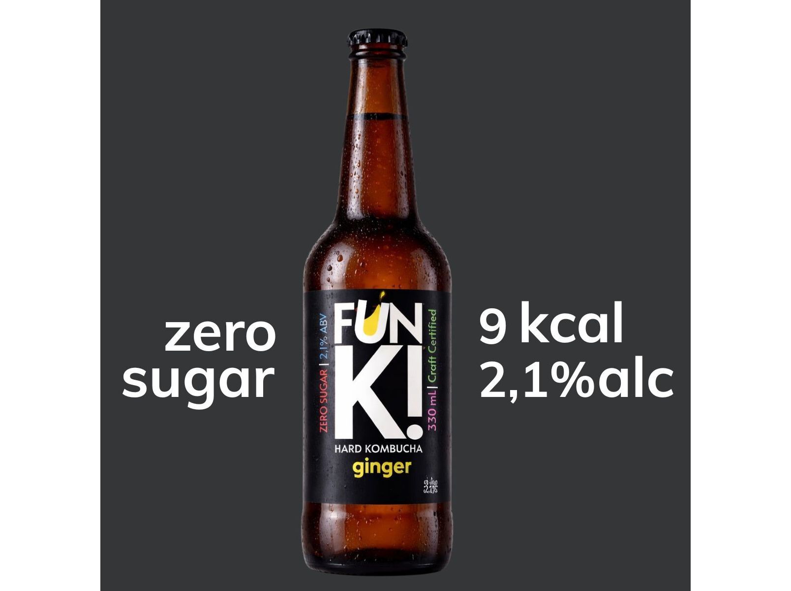KOMBUCHA BIO FUN K! GINGER 330 ML image number 2