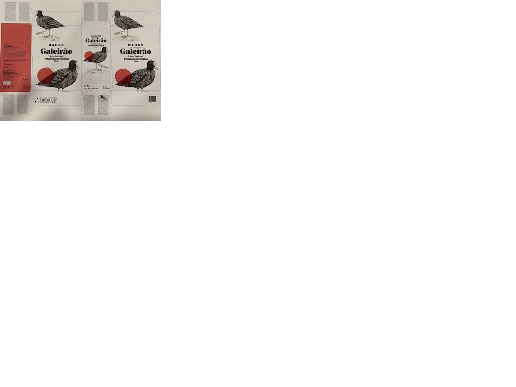 VINHO TINTO BANDO GALEIR&Atilde;O REGIONAL SET&Uacute;BAL BAG IN BOX 3L image number 1