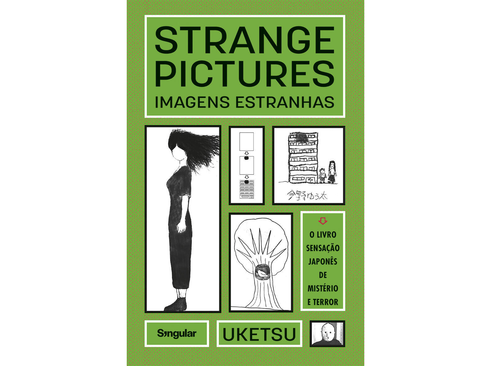 LIVRO STRANGE PICTURES/IMAGENS ESTRANHAS DE UKETSU image number 1