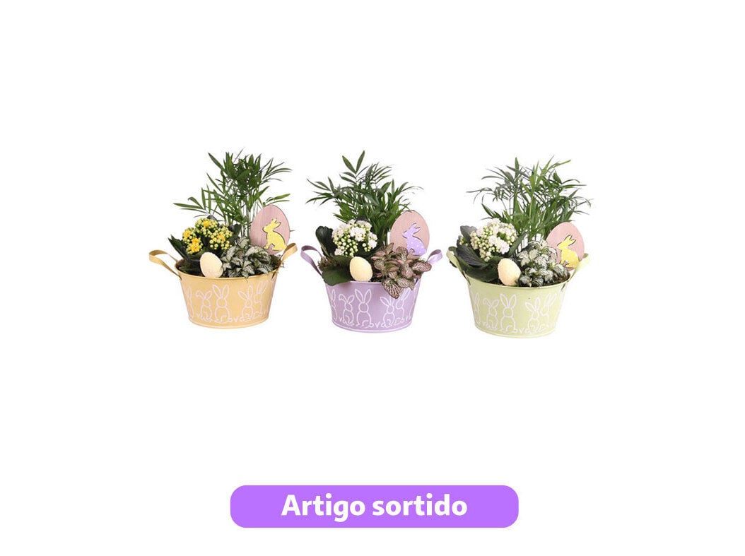 ARRANJO DE P&Aacute;SCOA COM 3 PLANTAS EM VASO ZINCO VASO 17 MODELOS SORTIDOS