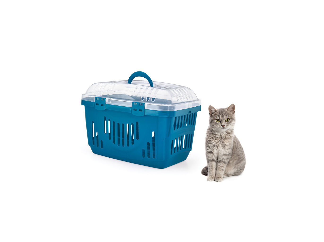 TRANSPORTADORA ROCKET MIMAU TRANSPARENTE ABRE PARA CIMA CORES SORTIDAS image number 1