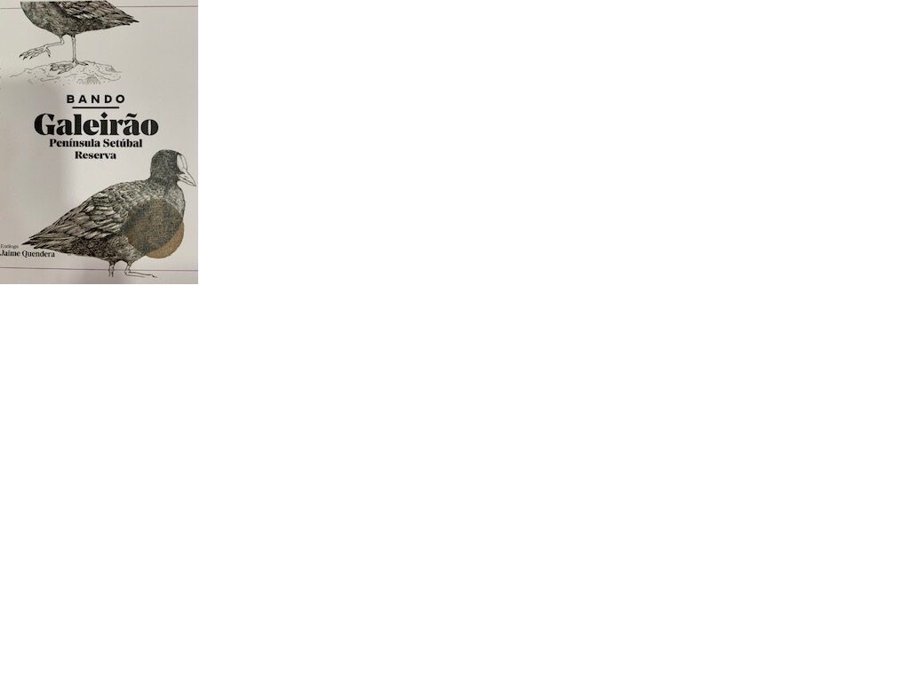 VINHO TINTO BANDO GALEIR&Atilde;O REGIONAL SET&Uacute;BAL RESERVA 0.75L image number 1