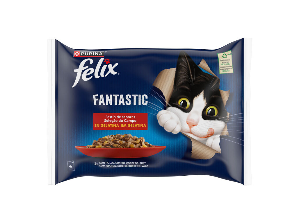 COMIDA H&Uacute;MIDA PARA GATO FELIX FANTASTIC SELE&Ccedil;&Atilde;O 4X85G image number 1