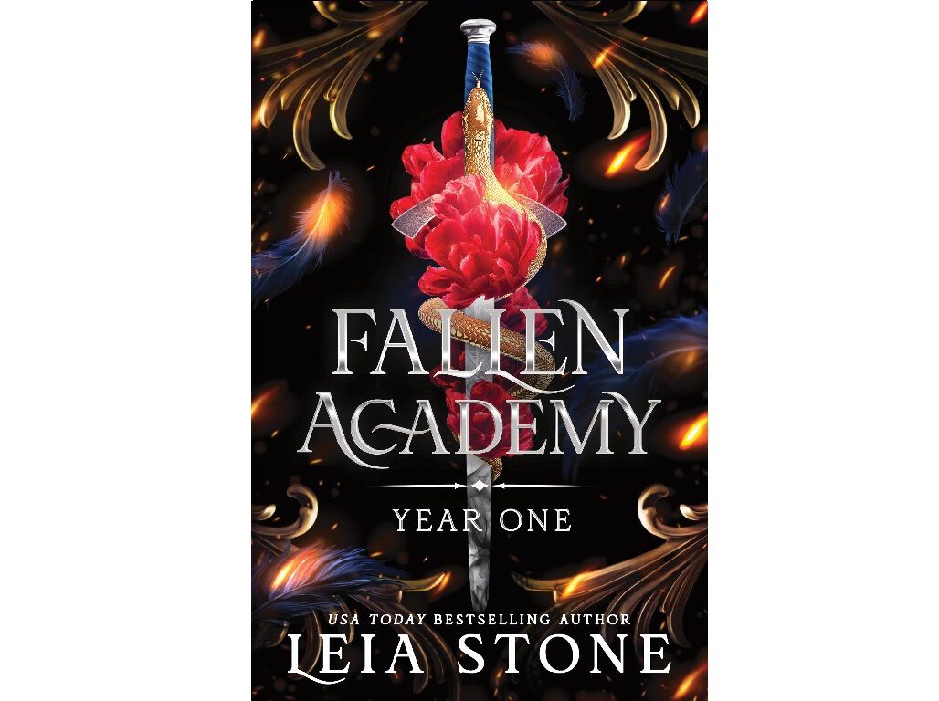 LIVRO FALLEN ACADEMY: YEAR ONE OF LEIA STONE image number 0
