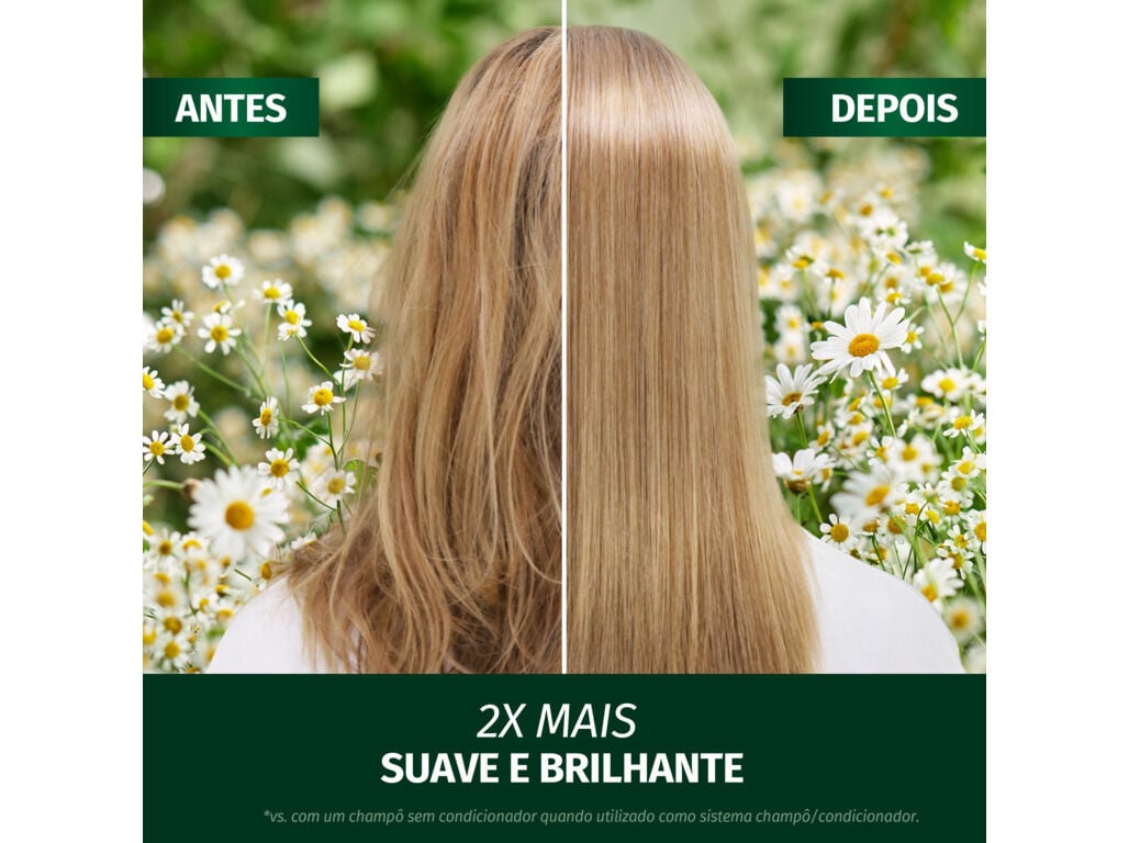 CHAMP&Ocirc; HERBAL CAMOMILA BRILHO 350ML image number 4