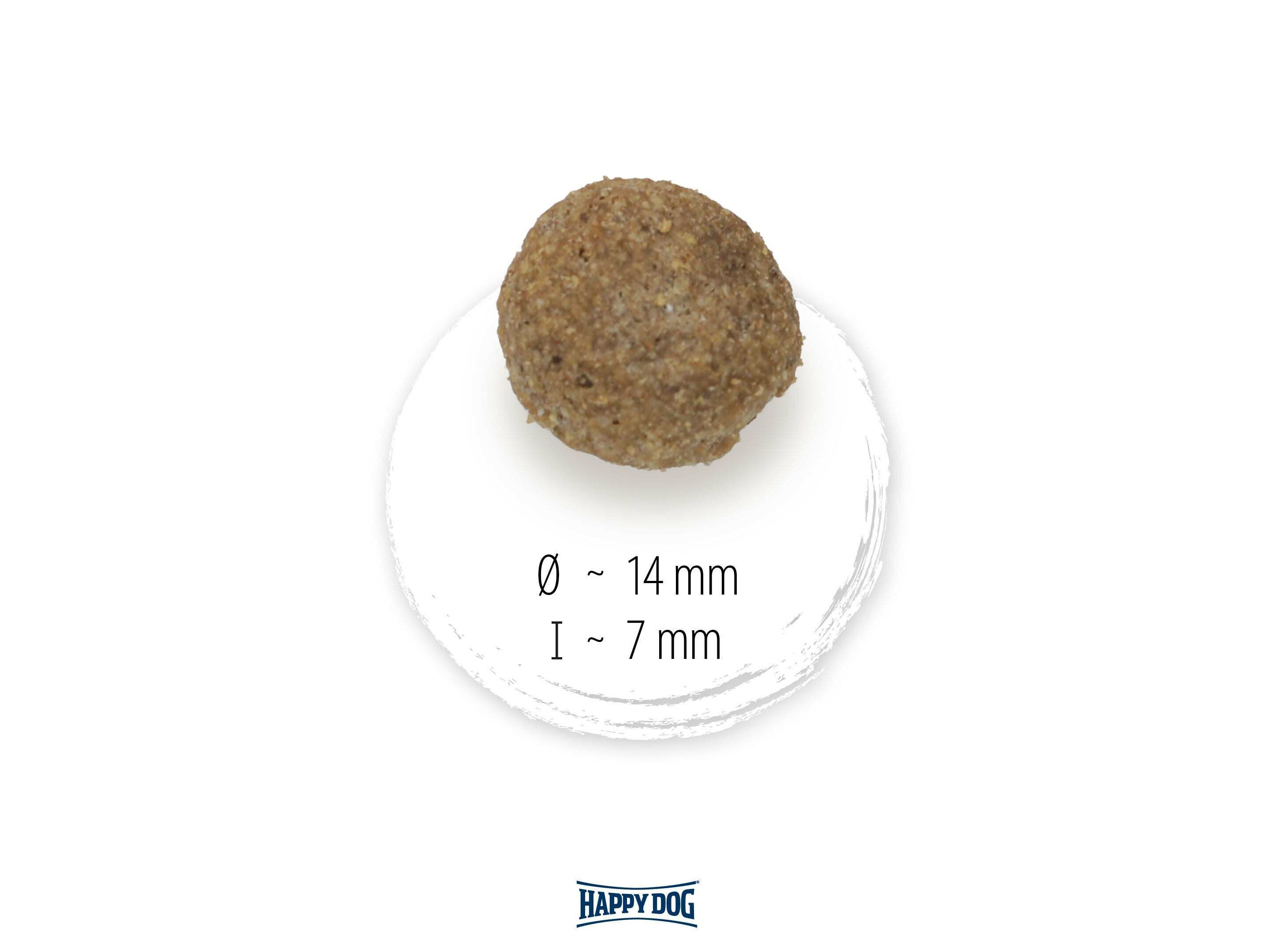 RA&Ccedil;&Atilde;O C&Atilde;O HAPPY DOG NATURCROQ SENIOR 15 KG image number 1