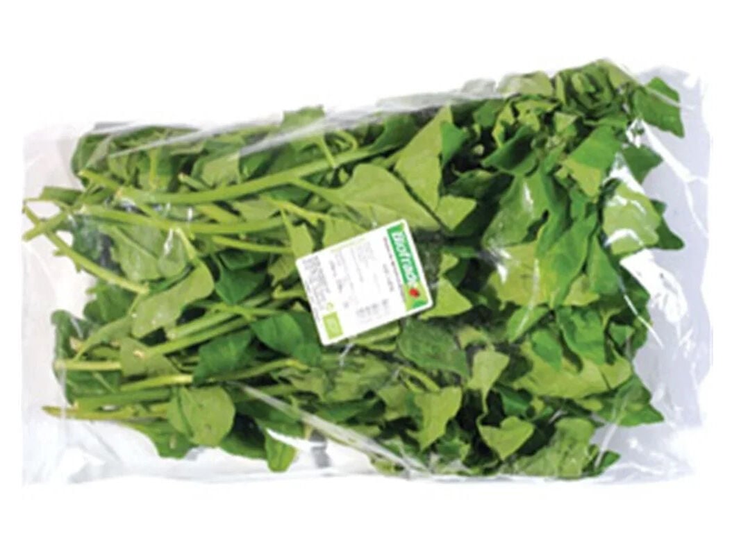 ESPINAFRE BIO 300G image number 0