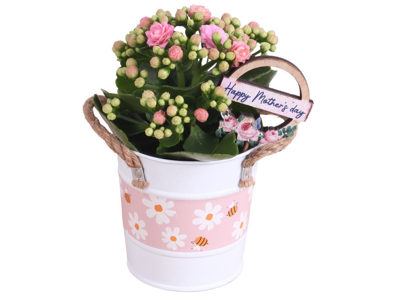 KALANCHOE DECORA&Ccedil;&Atilde;O DIA DA M&Atilde;E VASO 10
