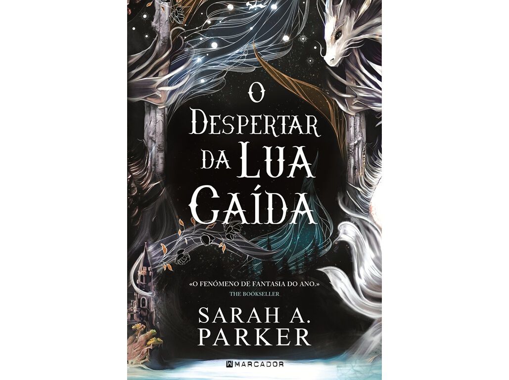LIVRO O DESPERTAR DA LUA CA&Iacute;DA DE SARAH A. PARKER image number 0
