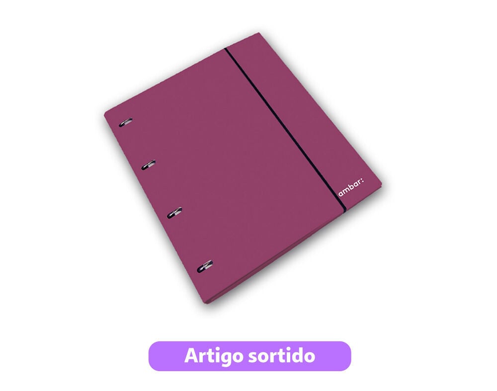 CAPA A4 AMBAR COM 4 ARGOLAS RECARGA E SEPARADORES CORES SORTIDAS
