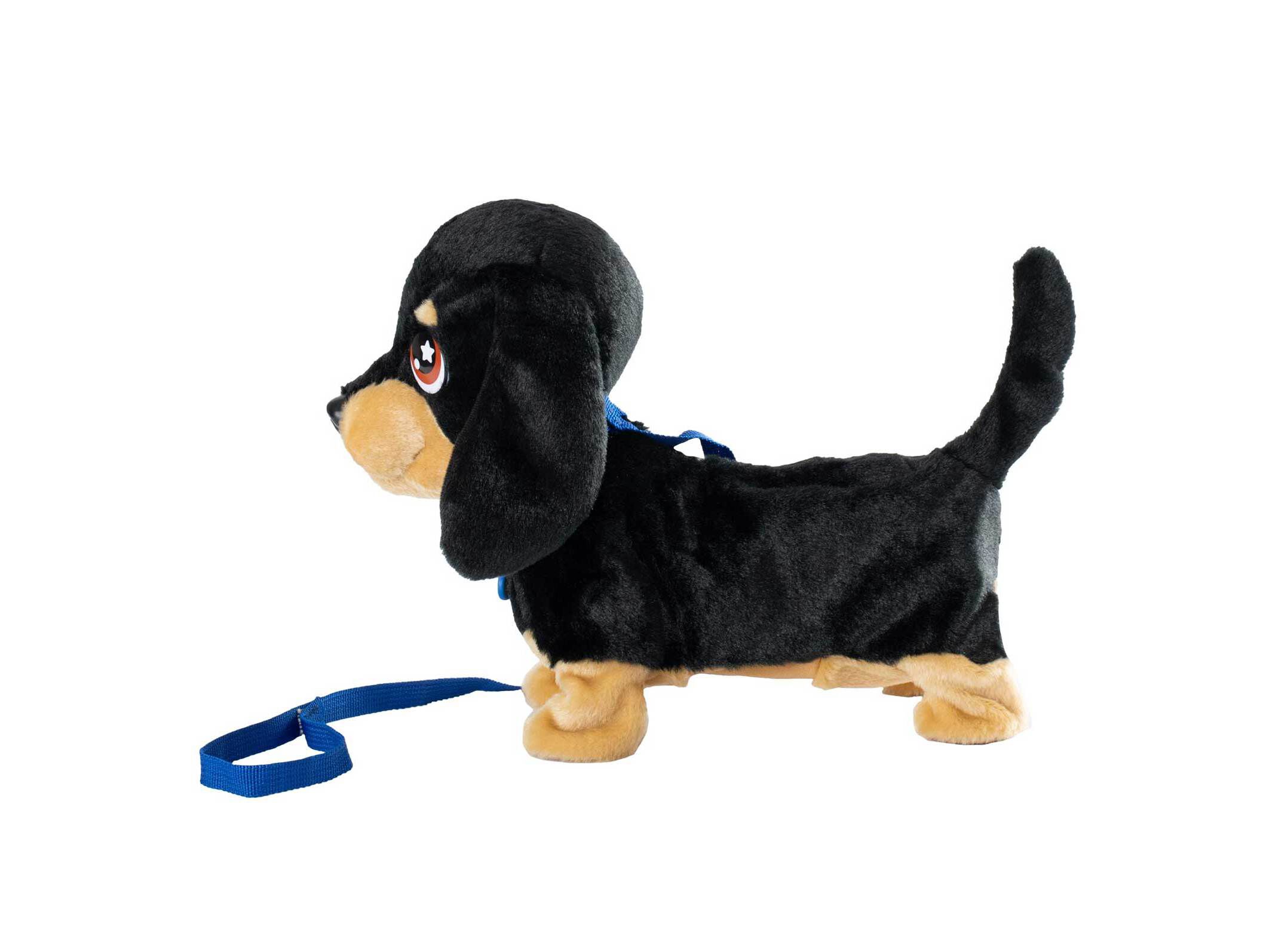 CACHORRINHO WAGGLES ANIMAGIC image number 10