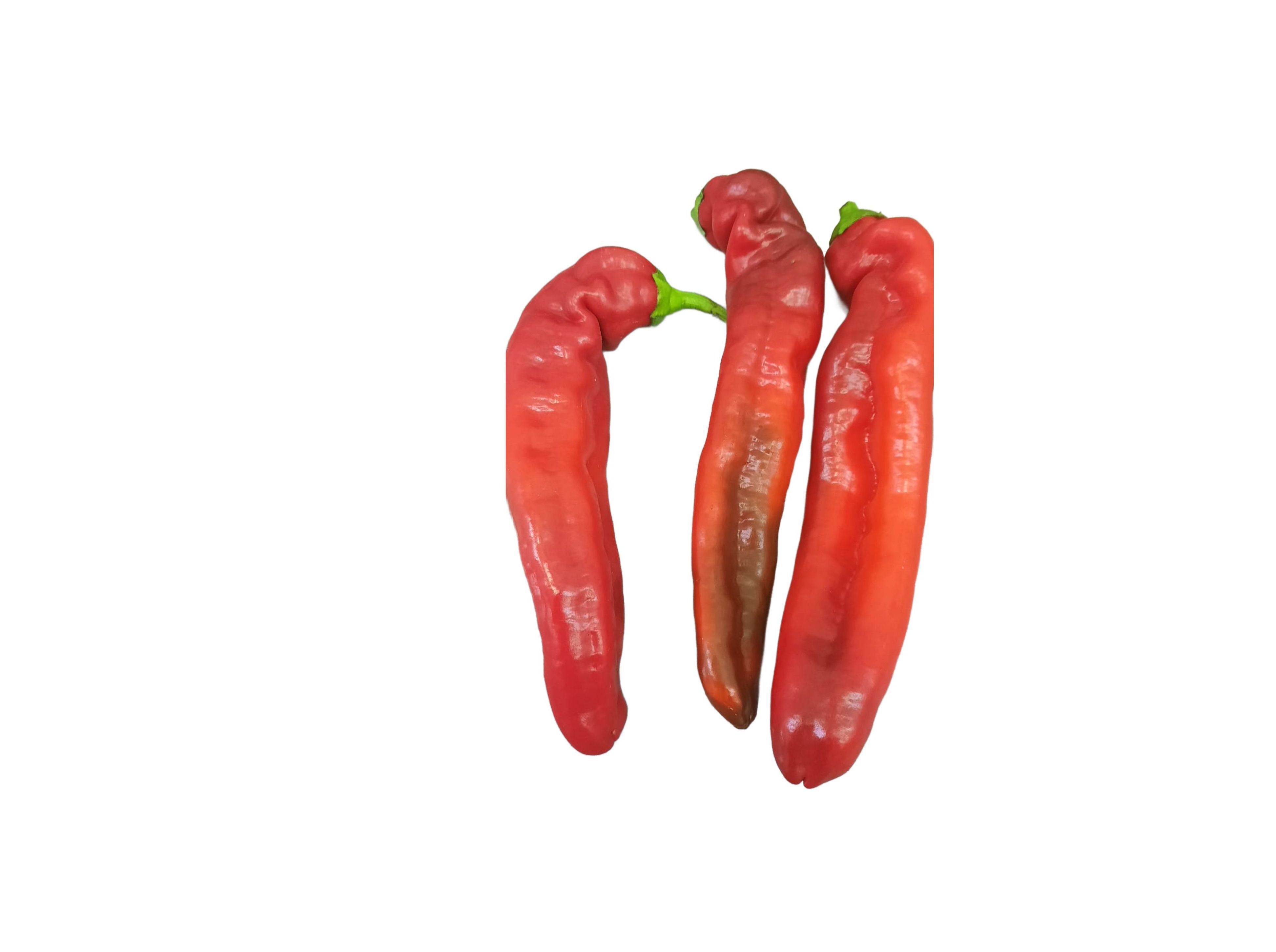 PIMENTO DOCE BIO 150G image number 1