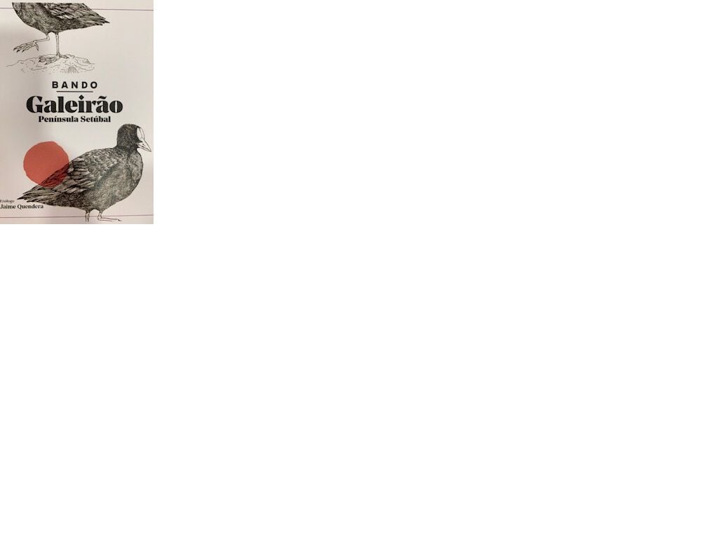 VINHO TINTO BANDO GALEIR&Atilde;O REGIONAL SET&Uacute;BAL 0.75L image number 1