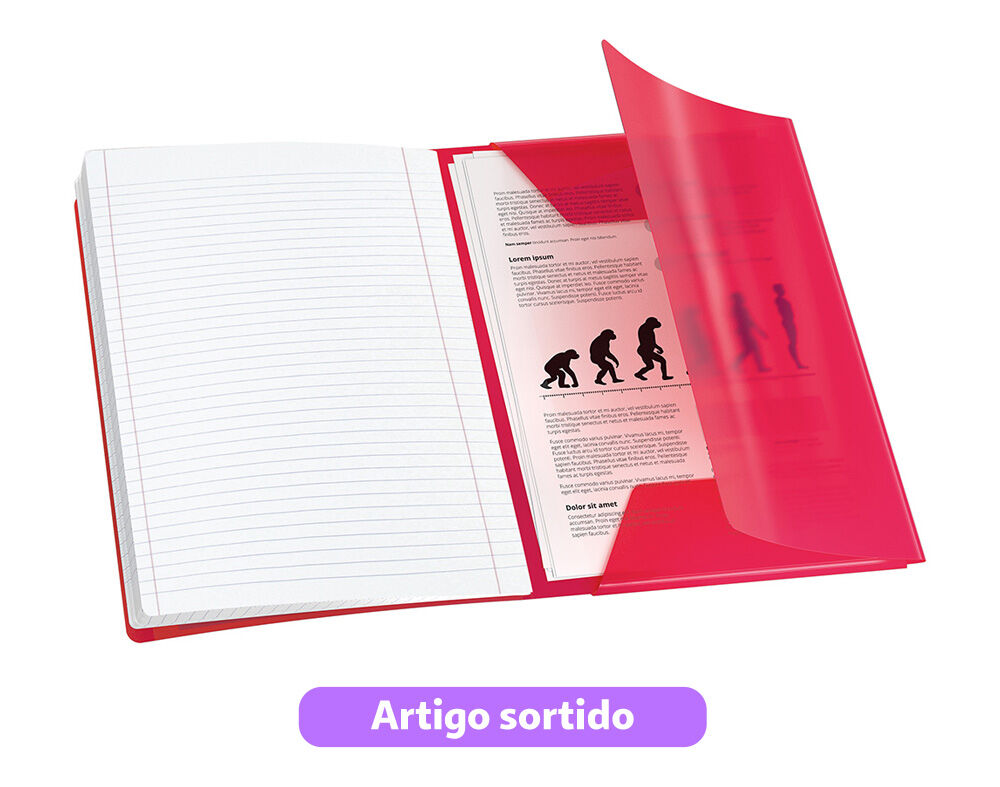 CADERNO AGRAFADO A4 PAUTADO OXFORD EASYBOOK 3EM1 CORES SORTIDAS image number 8