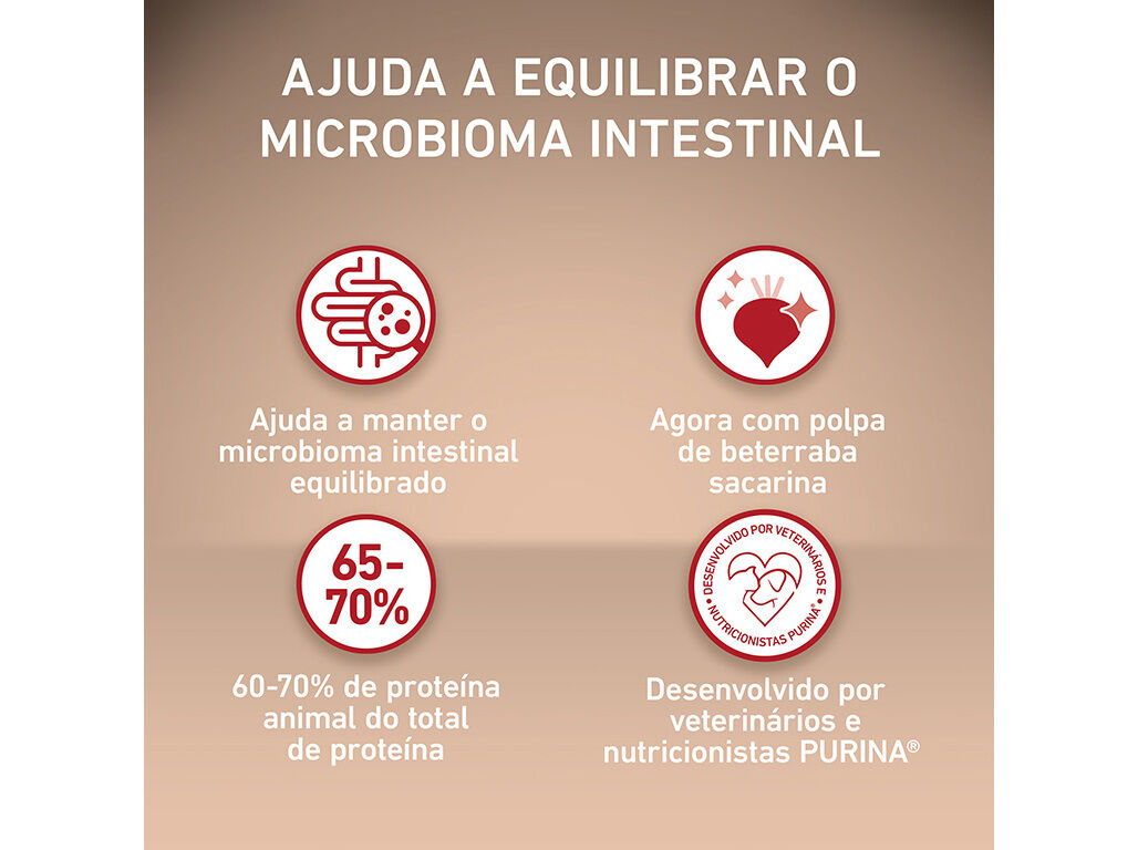 RA&Ccedil;&Atilde;O PARA C&Atilde;O PURINA ONE MINI ACTIVE COM FRANGO 800G image number 2