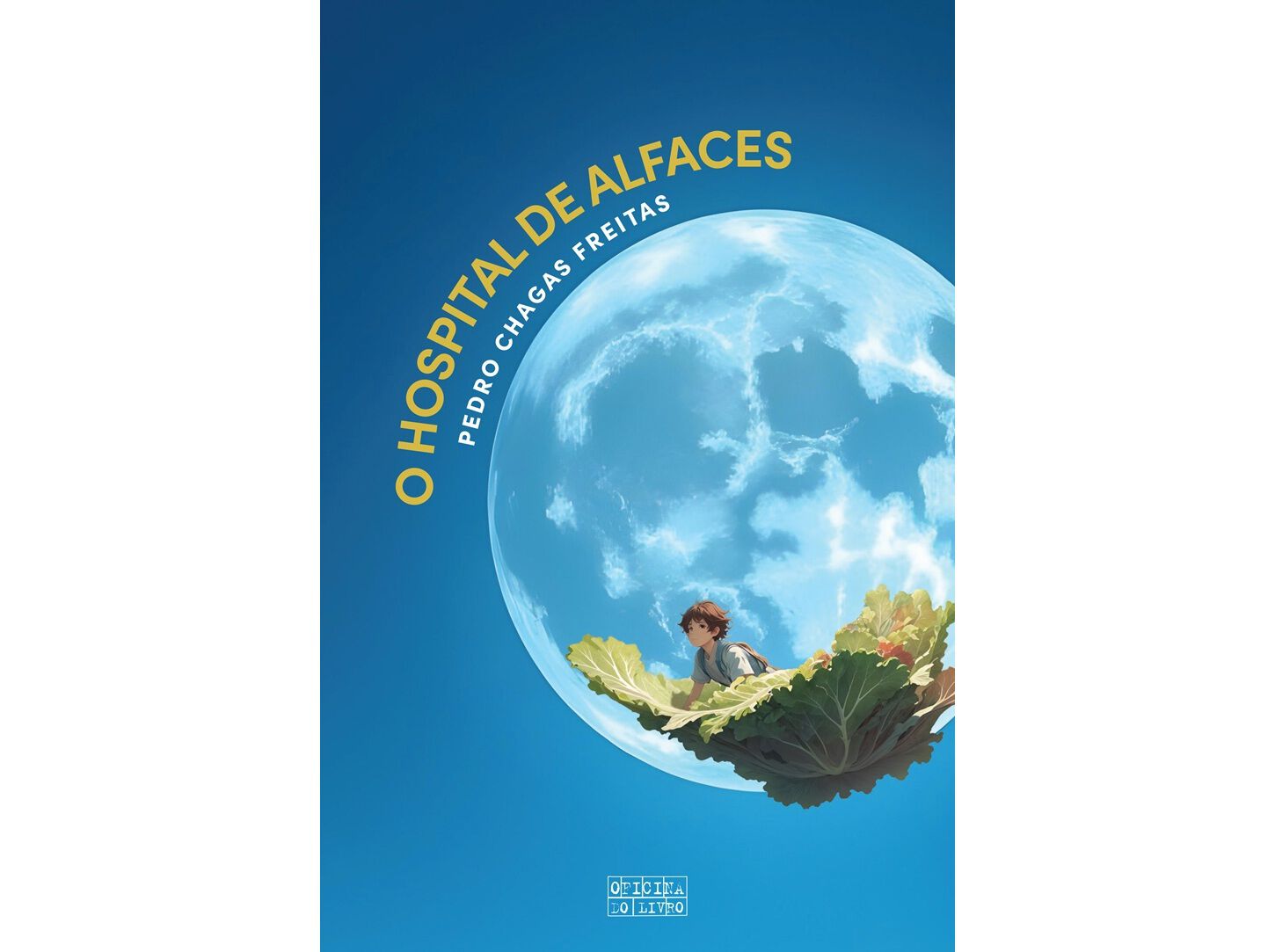 LIVRO O HOSPITAL DE ALFACES CAPA DURA image number 0