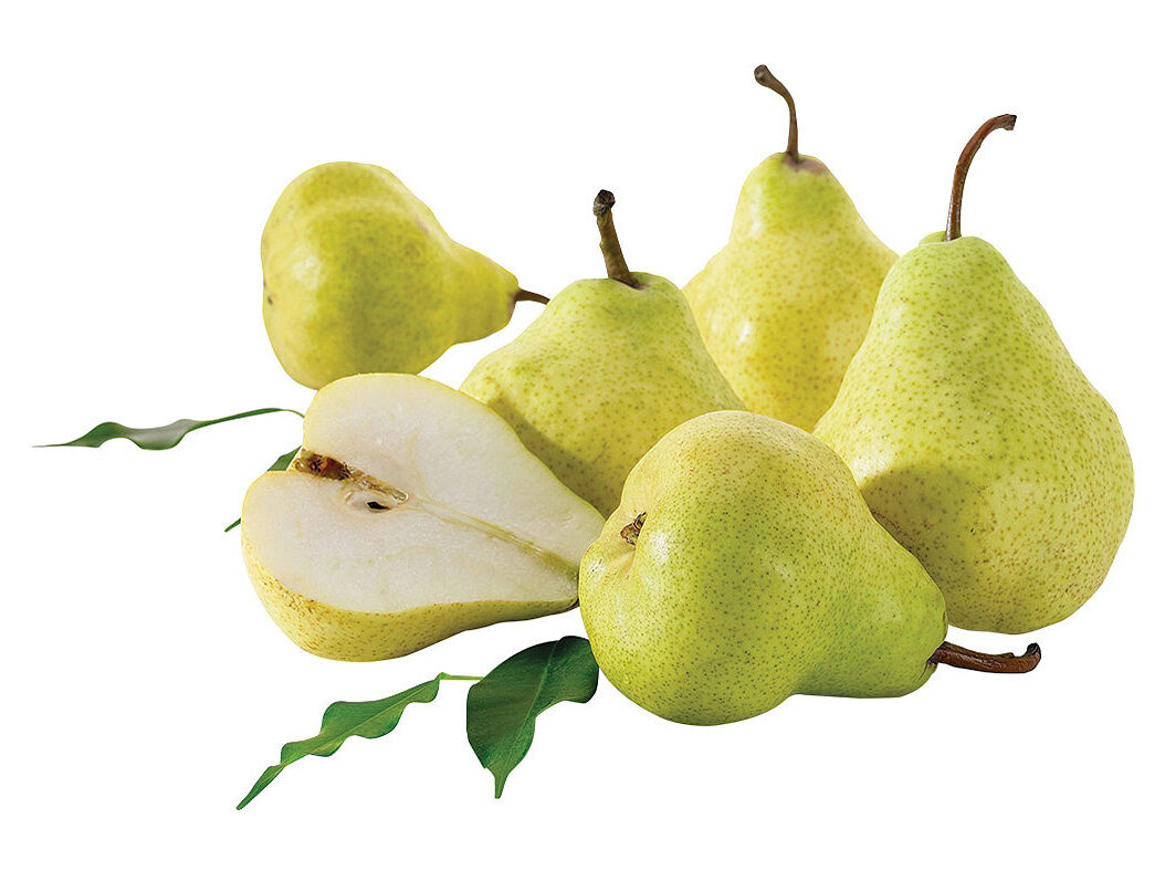 PERA WILLIAM AUCHAN KG image number 0