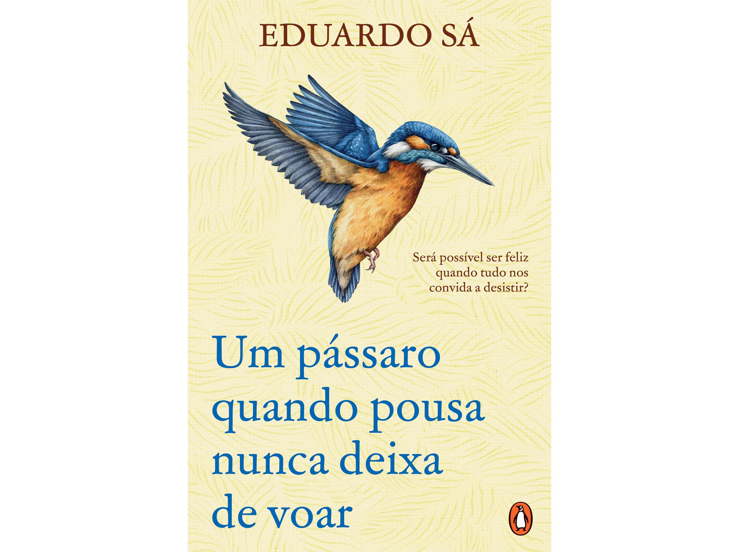 LIVRO UM P&Aacute;SSARO QUANDO POUSA NUNCA DEIXA DE VOAR DE EDUARDO S&Aacute; image number 0