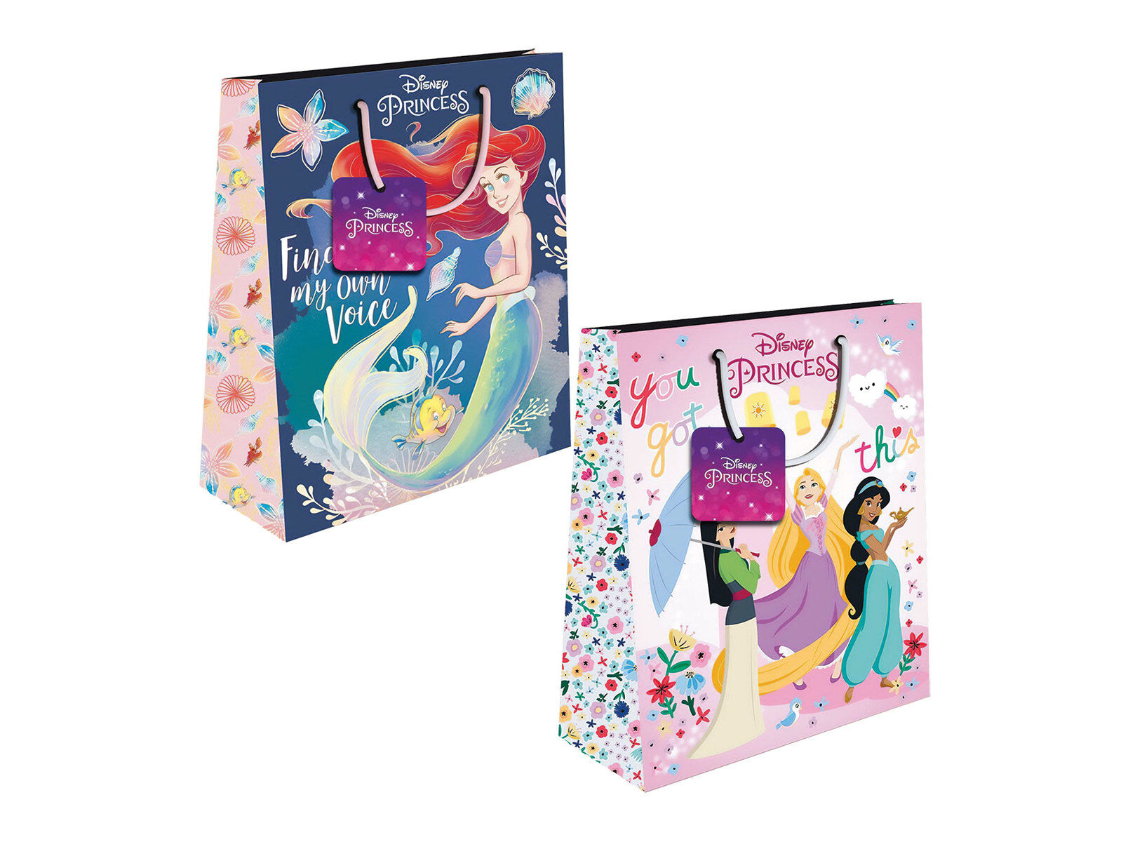 SACO EMBRULHO PRINCESAS GRANDE 33X45X10CM MODELOS SORTIDOS image number 1