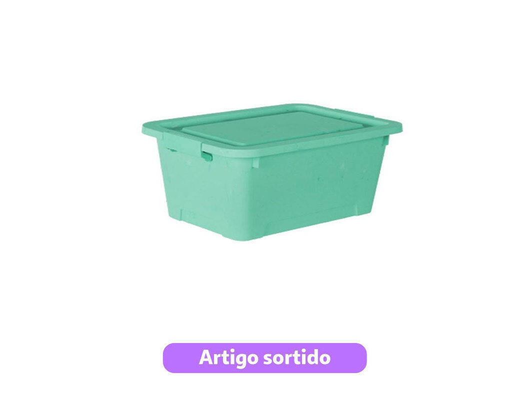 CAIXA COM TAMPA FAPIL 20L 43X31X23CM CORES SORTIDAS