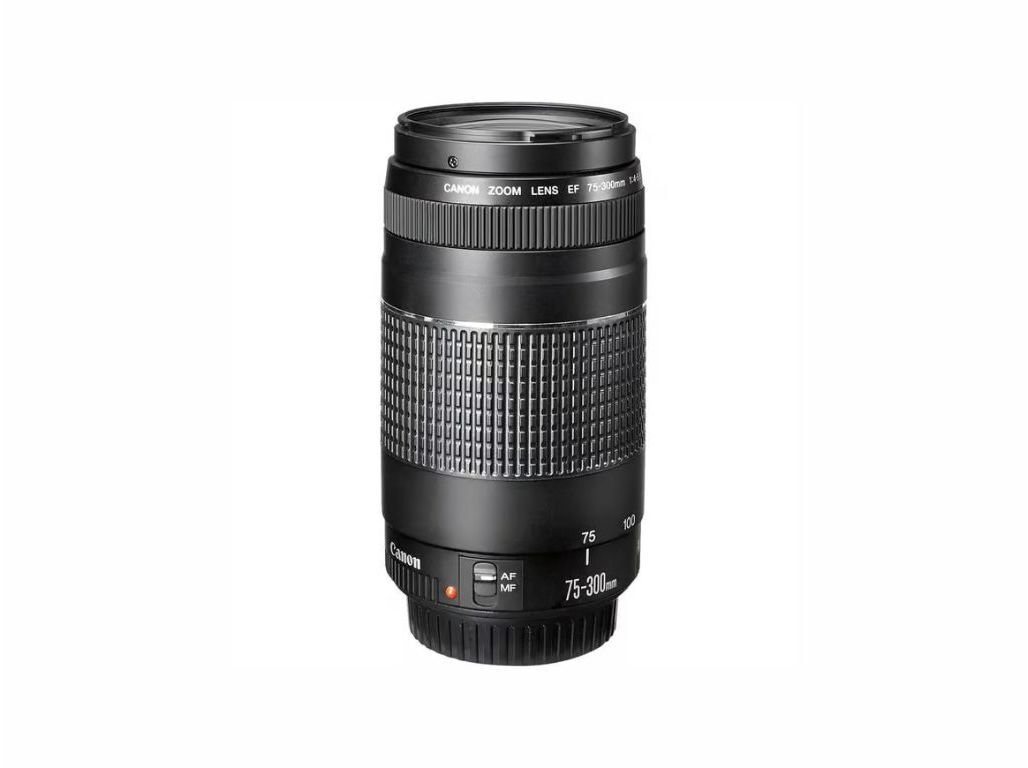 OBJECTIVA CANON EF-S 75-300MM F:4-5.6III image number 1