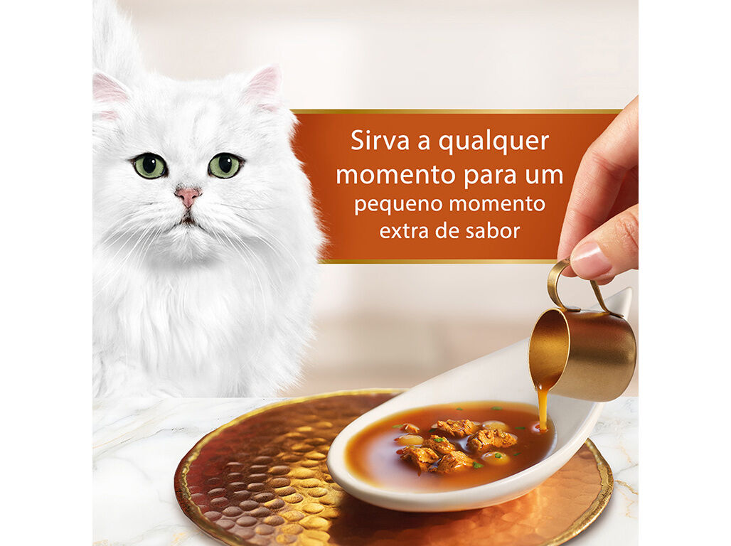 COMIDA H&Uacute;MIDA GATO GOURMET SOUP ROYAL SALM&Atilde;O 45G image number 5
