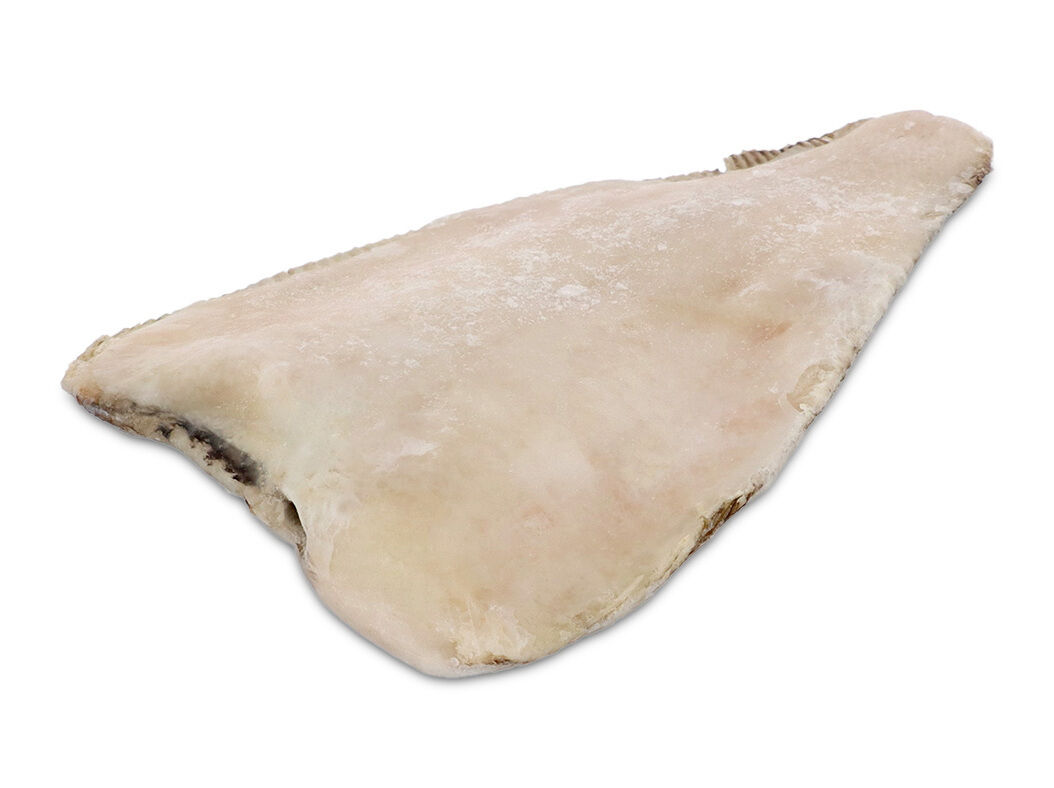 SOLHA CONGELADA GRANDE SEM CABE&Ccedil;A KG image number 1