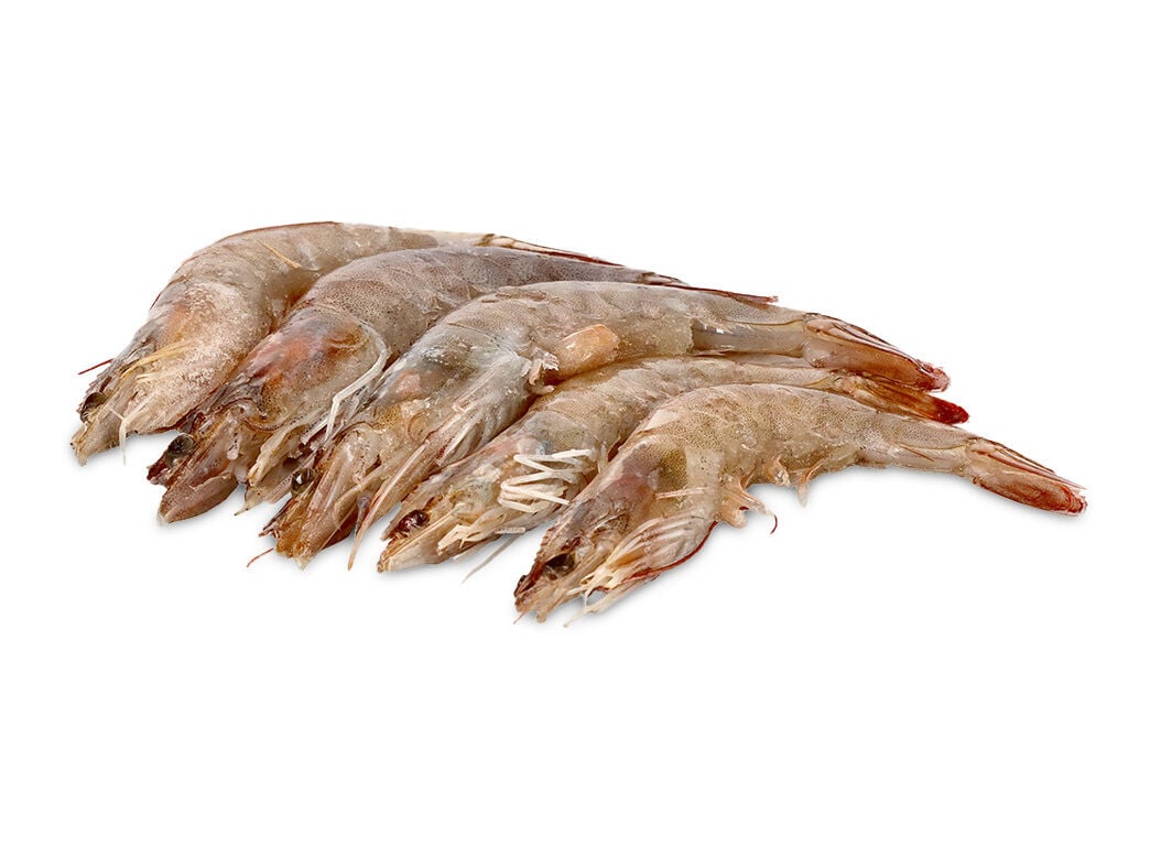 CAMAR&Atilde;O VANNAMEI 60/80 CRU CONGELADO KG