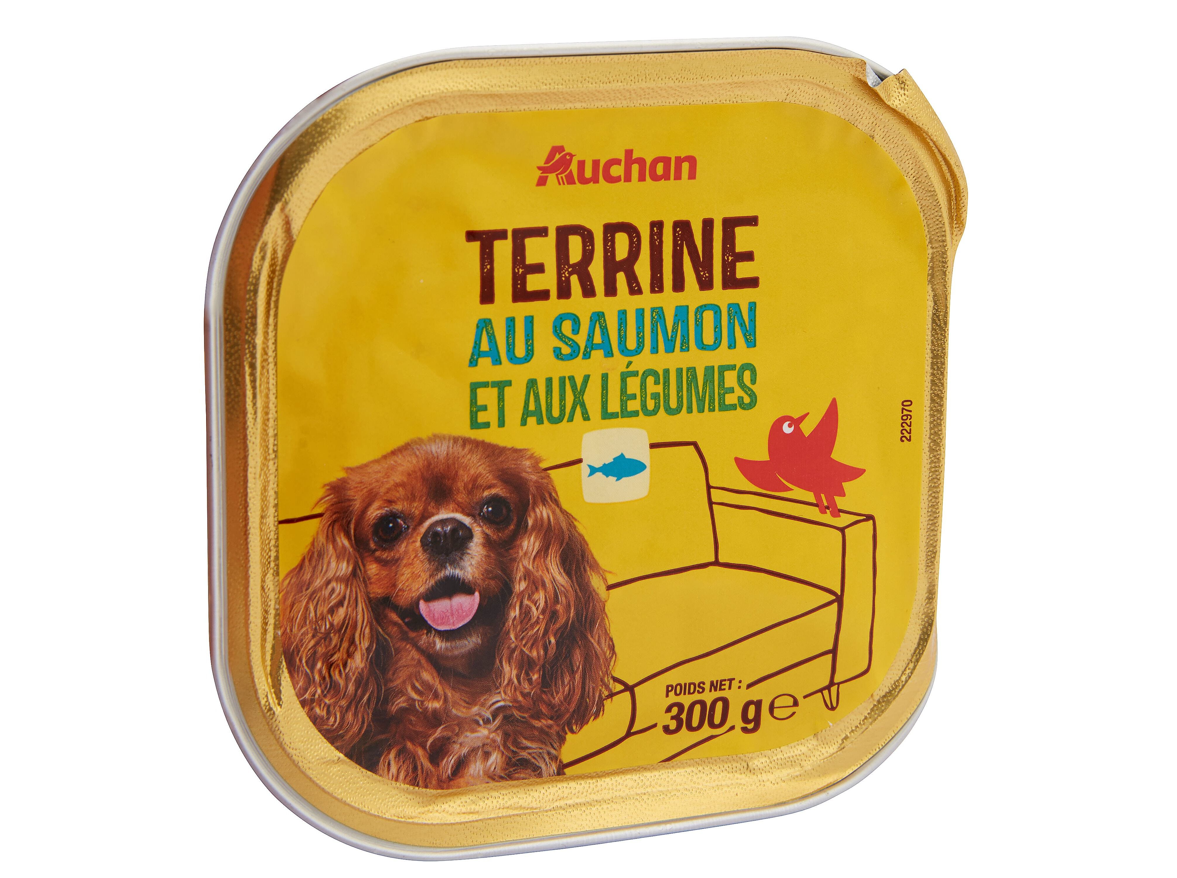 COMIDA H&Uacute;MIDA PARA C&Atilde;O AUCHAN TERRINA COM SALM&Atilde;O E COM LEGUMES 300G image number 1