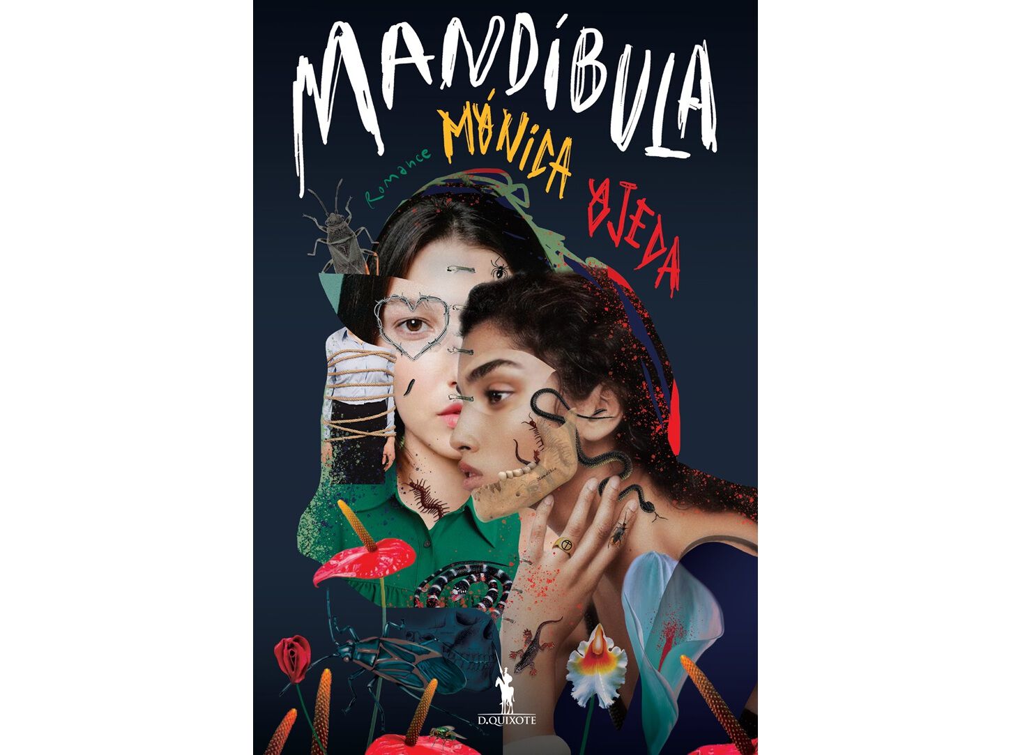 LIVRO MAND&Iacute;BULA DE: M&Oacute;NICA OJEDA image number 0